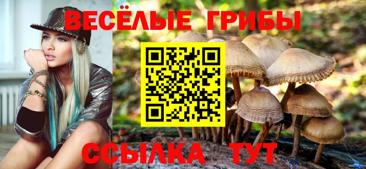 Псилоцибиновые грибы мухоморы  Псилоцибиновые грибы MAGIC MUSHROOMS  Вход с VPN  Строитель 